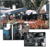 My Gallery: Image