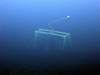 My Gallery: Image