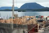 My Gallery: Image